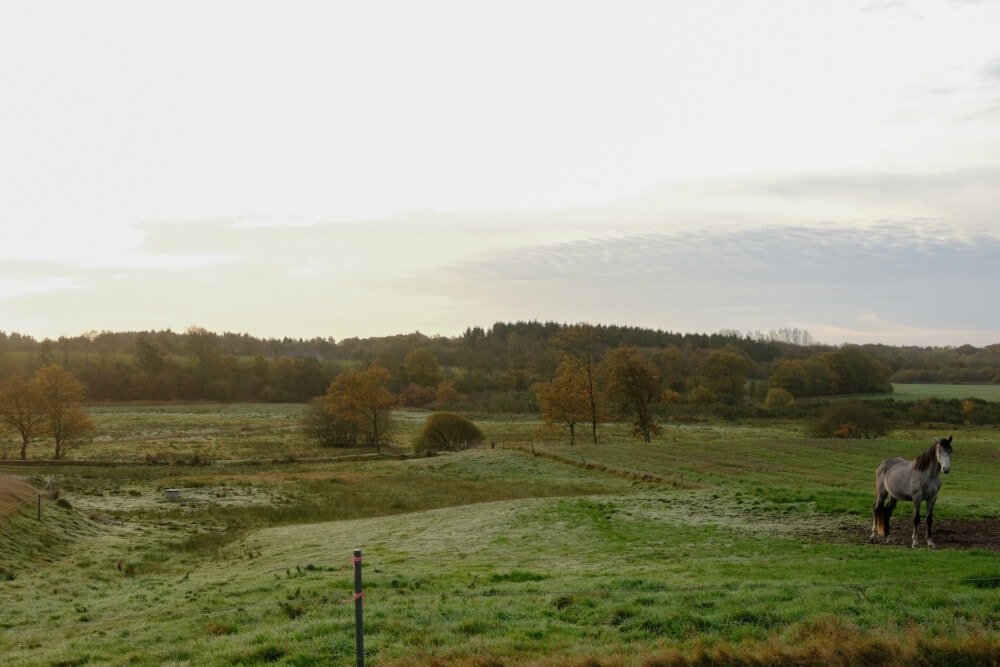 Andre-stederPreben-Stentoft-1-1000×667